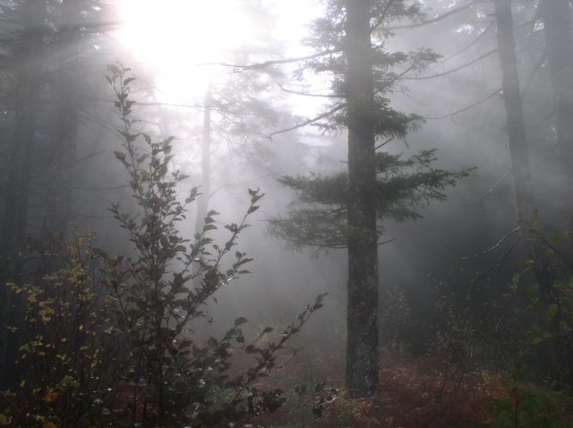 10.28.05 Devil's Rest 068 